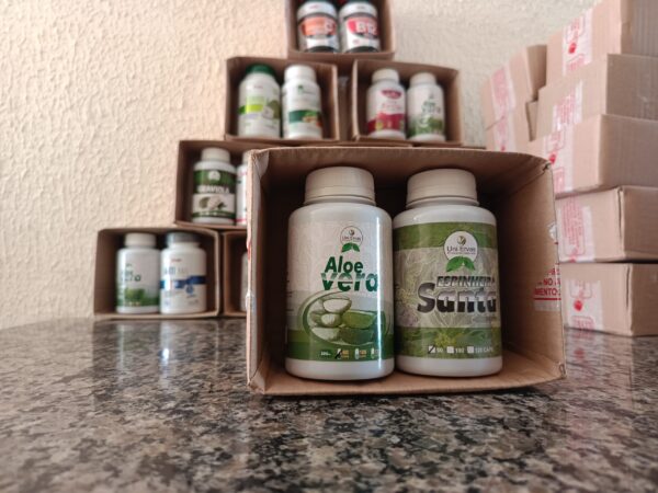 Kit Aloe vera + Espinheira santa 60 cápsulas - Image 2