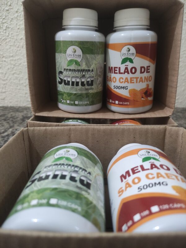 Kit Espinheira Santa + Melão de São Caetano 60+60 Caps